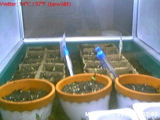 0305072705.jpg