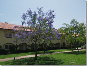 IMGP0521